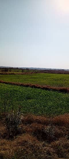 Good 72000 Square Feet Agricultural Land For sale In Neela Dullah