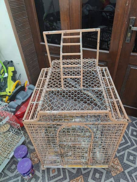 Custom made iron cage used for big birds 2