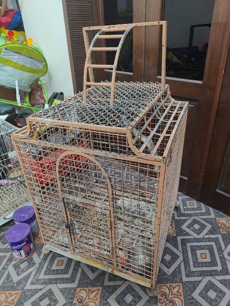 Custom made iron cage used for big birds 5