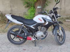 Yamaha ybr g 125 2019 for sale in brand new condition