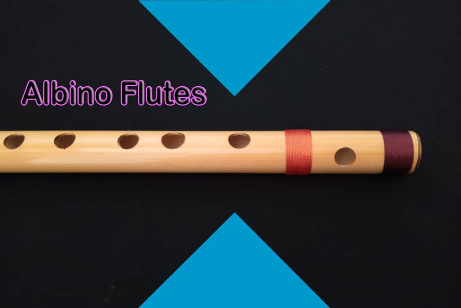 Albino D# Medium Scale Side Blown Bamboo Bansuri/ Flute 3