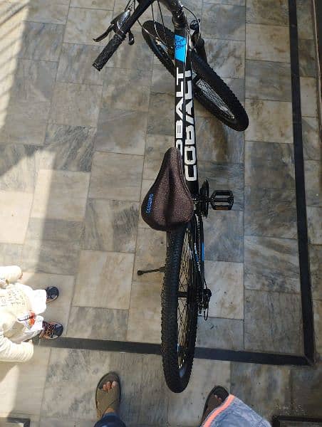 COBALT MTB BRAND NEW 29" 5