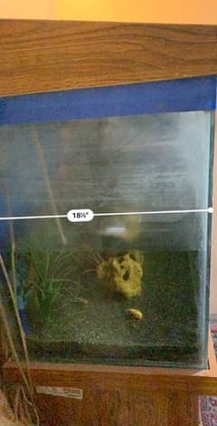 I m selling Aquarium good condition