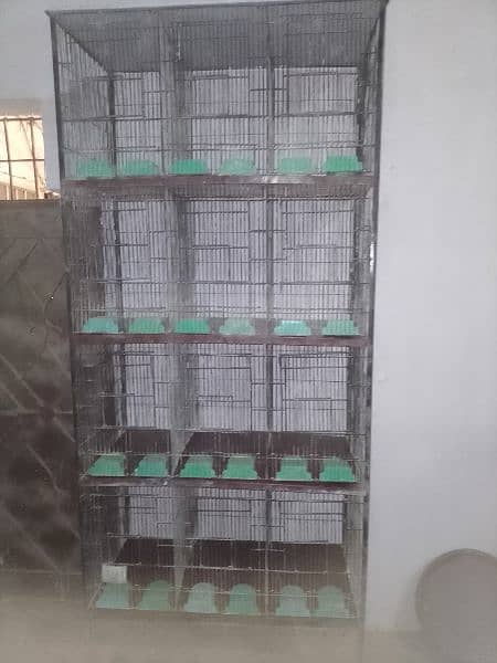 12 portion Cage size 1/5,1/5,1 0