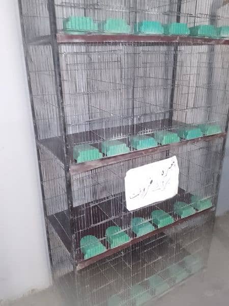 12 portion Cage size 1/5,1/5,1 4