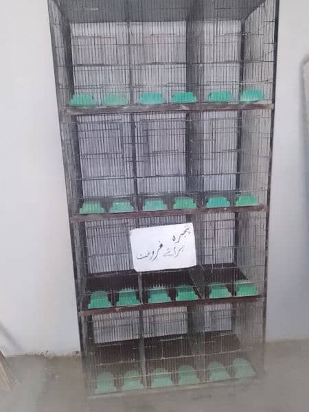 12 portion Cage size 1/5,1/5,1 5