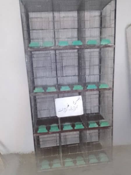 12 portion Cage size 1/5,1/5,1 6