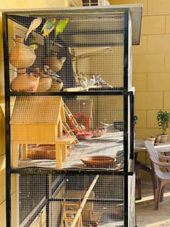 (Birds Heavy Cage) without Birds available