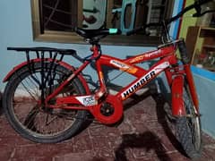 cycle for sale rahim yar khan by pass