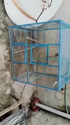 Bird Cage for sale