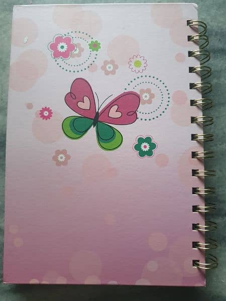 kids imported diary (new) 2