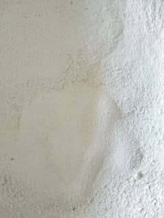 Egg shell powder