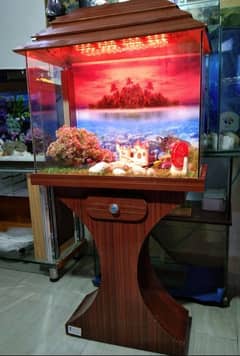 Beautiful Fish Aquarium