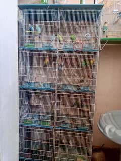 birds cages 0