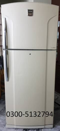 Toshiba (Thailand) Imported 20 cubic feet Large No Frost Refrigerator