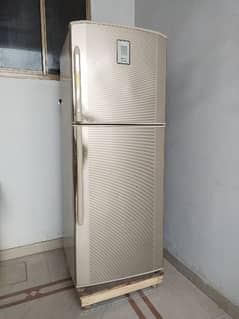 Haier Fridge Jumbo Size