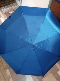 umbrella ( chatri)