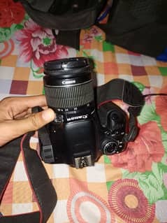 canon Rebail T31