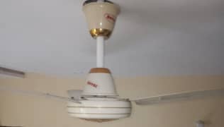 celling fans