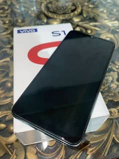 vivo