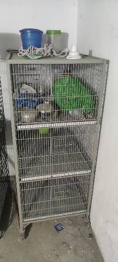 Love Birds Cage for sale. 03060692301