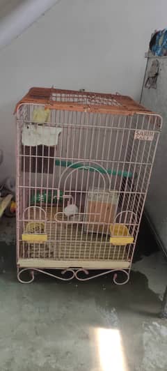 Cockatiel pair with large cage