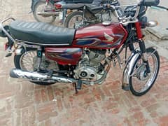 Honda 12  21/22 Model