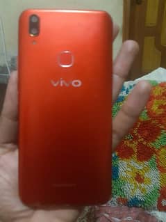 vivo