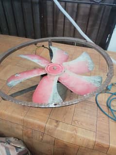 lohari cooler fan