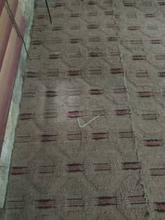 Drawing Carpet Urgent Sell good condition