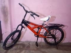 bicycle  20 inch hight