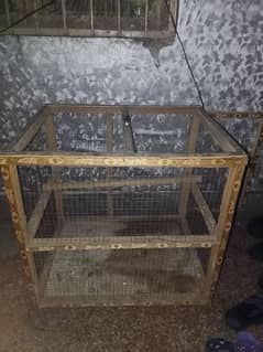 2 pairs of love birds for sale and wooden cage for sale
