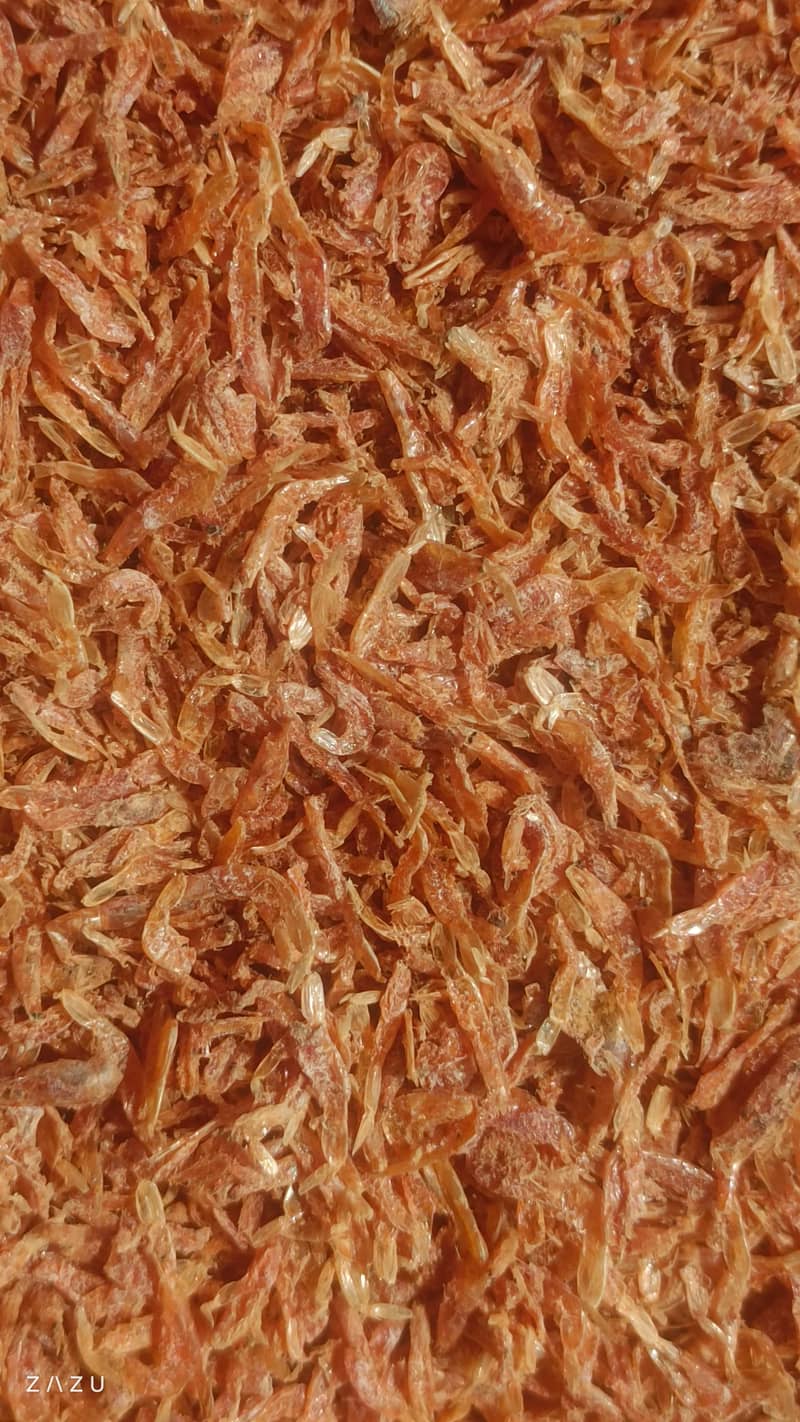 Dried Shrimps (Turkish Shrimps) 1