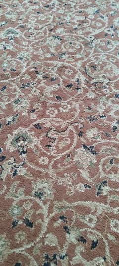 13 x 20 Good Condition Carpet for Sale