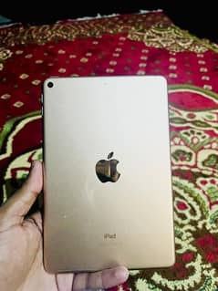iPad min 5