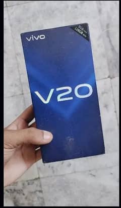 Vivo