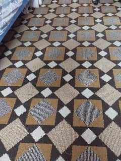 Carpet 11x13 10/10 condition