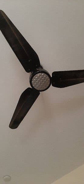 fan sell 1