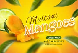 Chenab Mango Farms