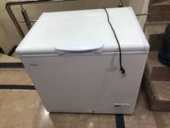 Freezer For sale Signal door