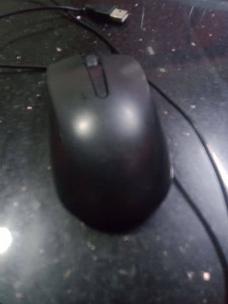 Dell mouse 1