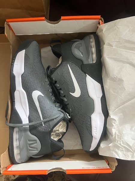 Nike Air Max Alpha Trainer 5 (Smoke Grey and White) 1