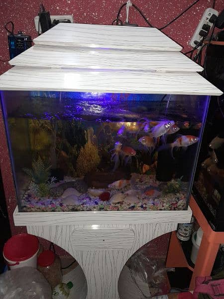 2 Aquarium with Fishes. 1