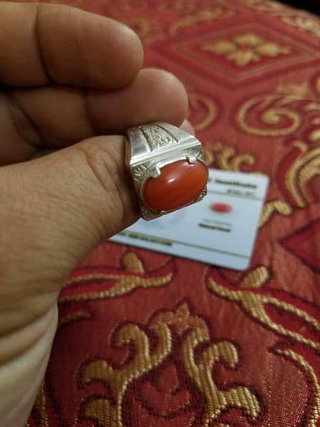 Italian Coral or Marjan in Silver Ring 3