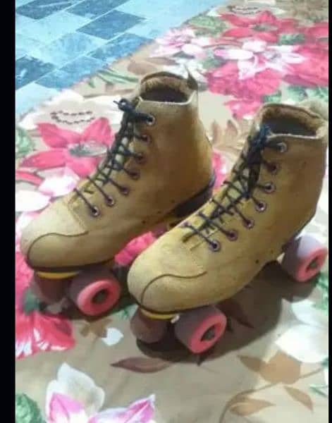 skaters for sale 0