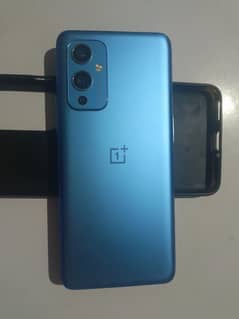 oneplus 9 (12+12/256)