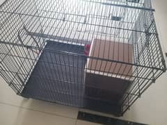 parrot cage like new