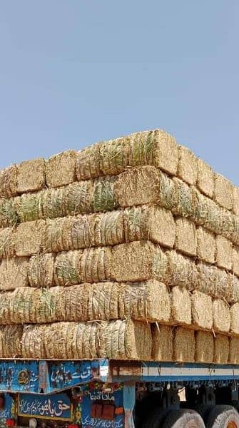 BHOOSA TOORI FOR SELL FRESH NEW RS. 900/40KGS