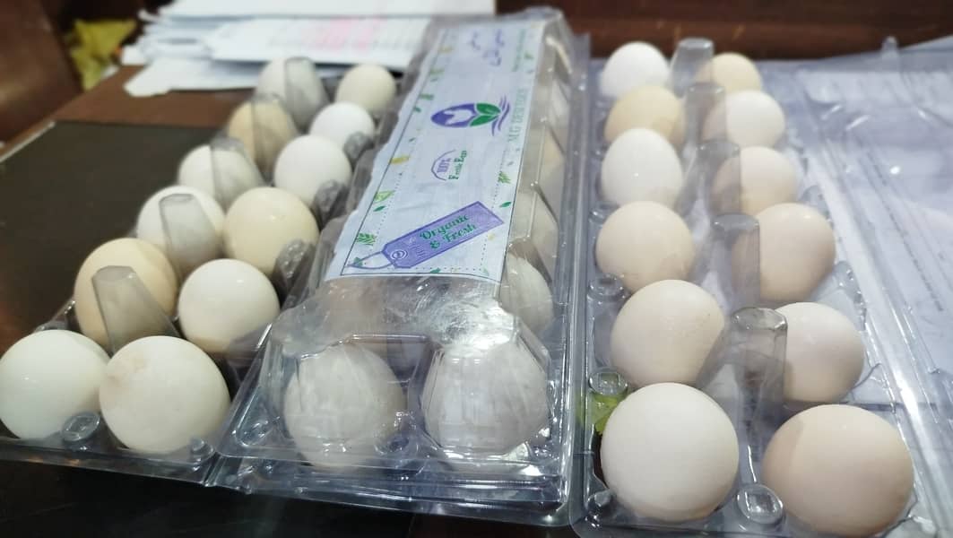 MG  FERTILE,FRESH,ORGANIC DESI EGGS550 0