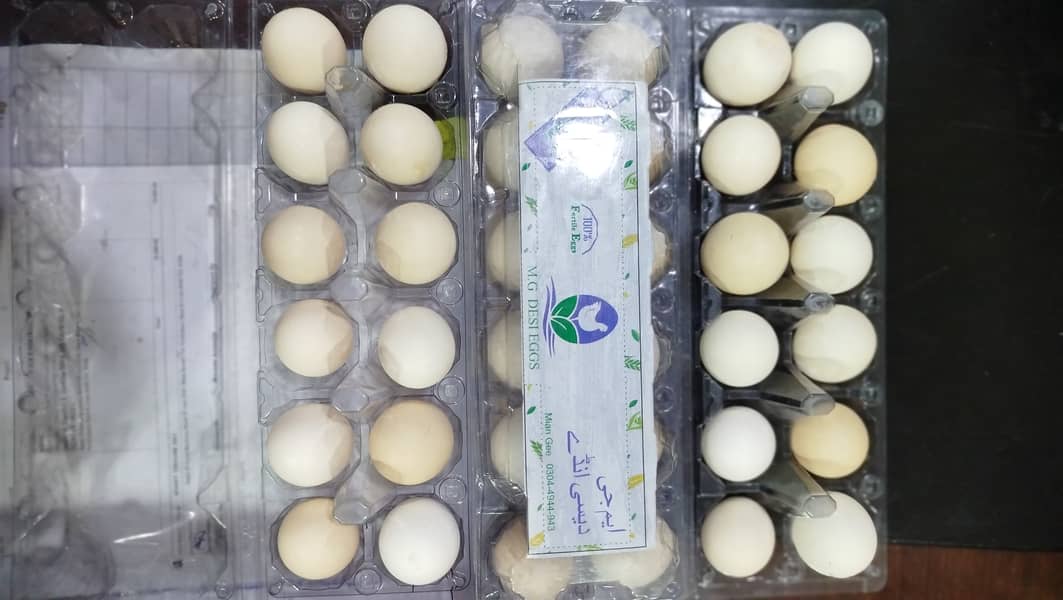 MG  FERTILE,FRESH,ORGANIC DESI EGGS550 2